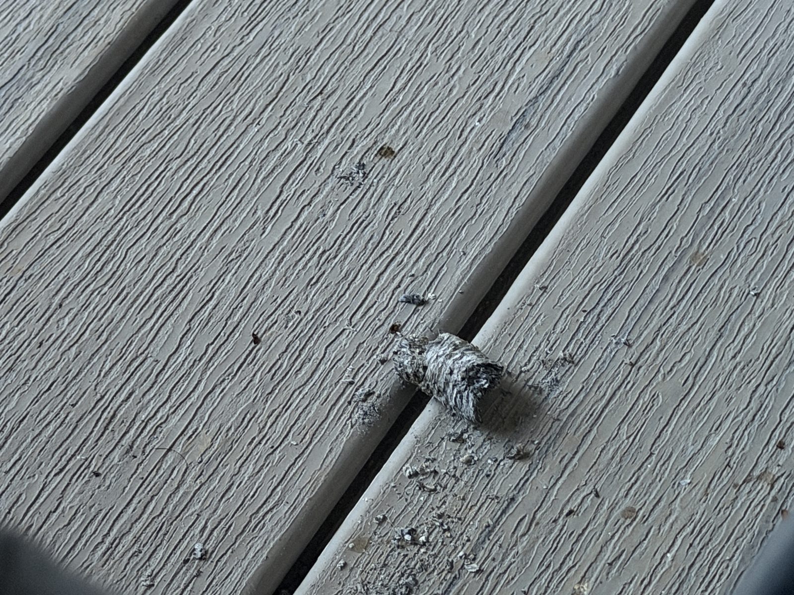The fallen LecheBurra ash lying mostly intact on white deck boards
