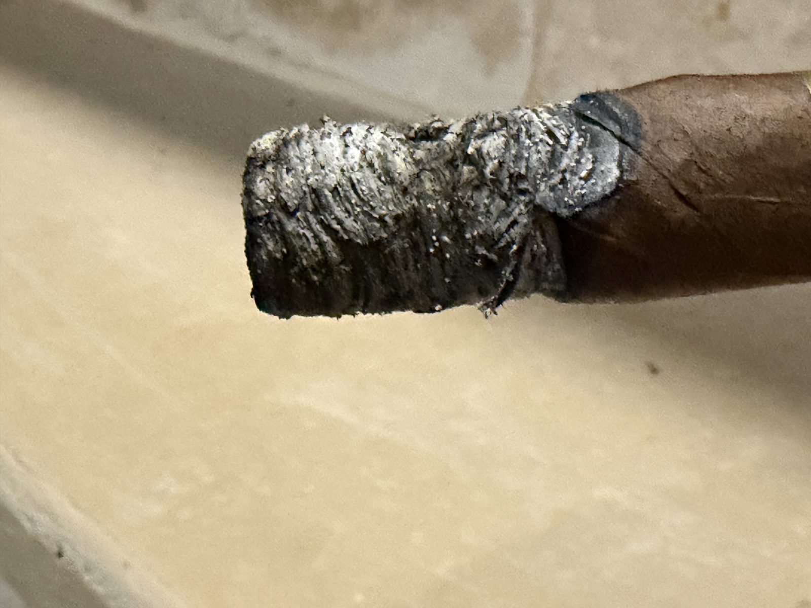Close up of the La Aroma de Cuba Noblesse Viceroy at the end of the first third, a shaggy, crooked, flaky gray ash on the foot with a jagged burn line