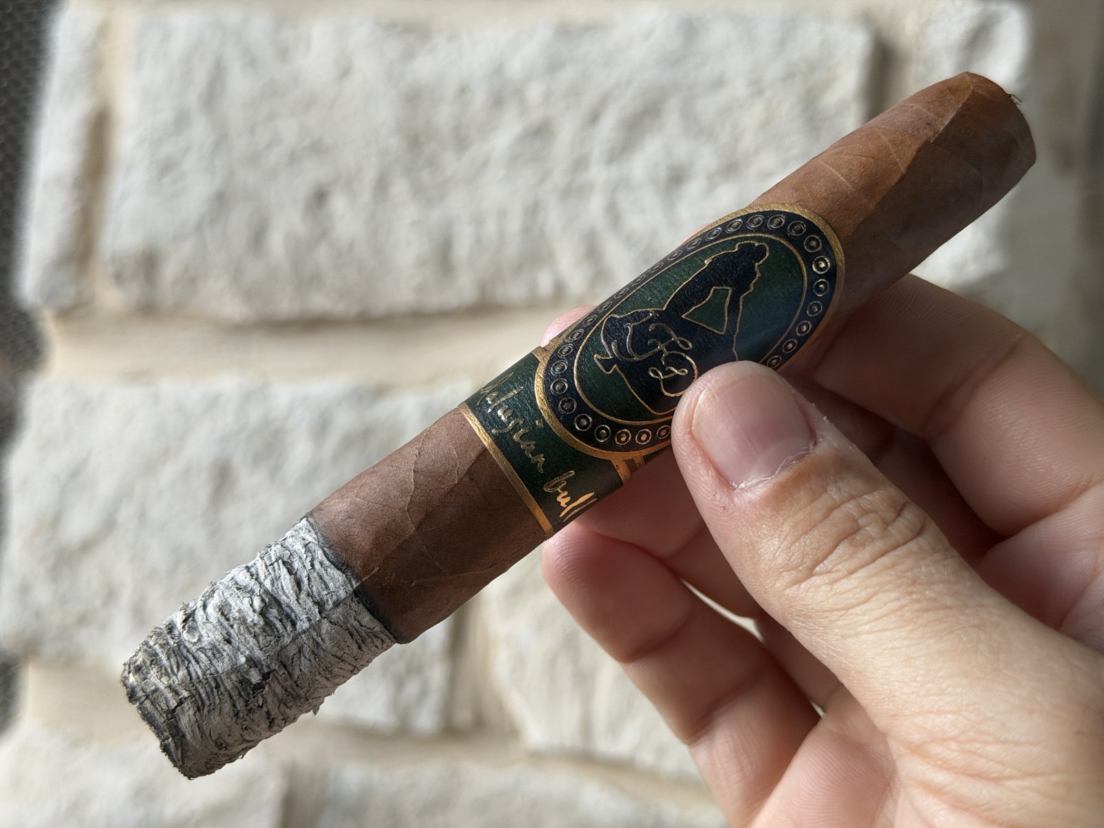 Andalusian Bull at the end of the first third with a long, tight stack of white ash