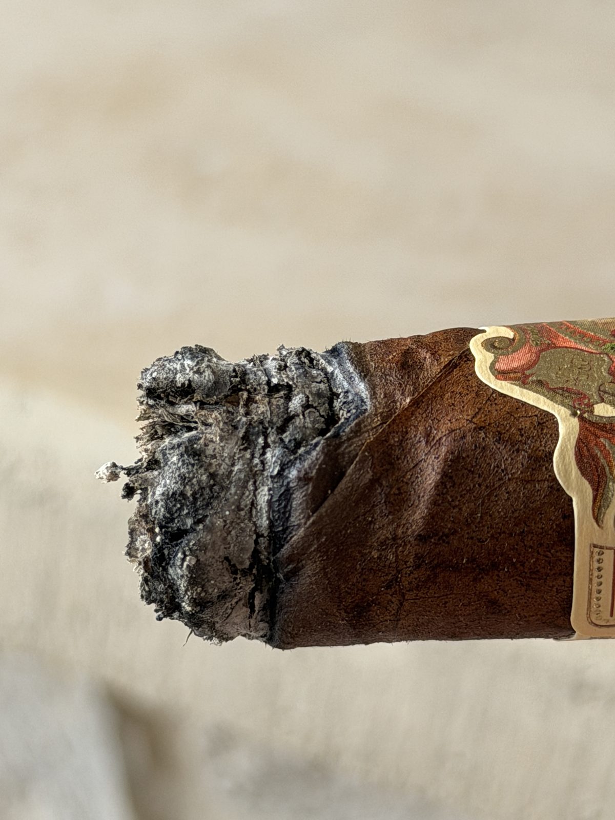 The Flor de las Antillas burning badly uneven, one side about a quarter inch deeper than the other, U-shaped burn with flaky ash, band still on
