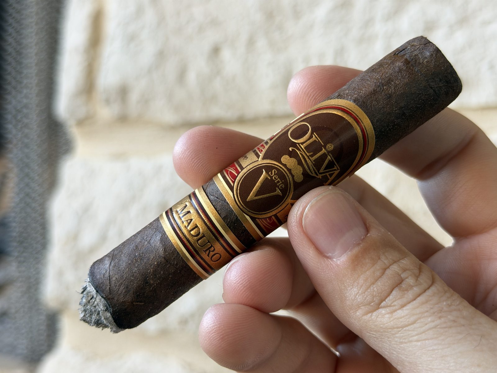 Oliva Serie V Maduro Toro just after ashing at the end of the first third, showing the foot with a raised point in the center, both bands on, held in hand against a stone wall