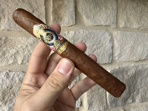 Unlit Ashton ESG 23 Year Salute Toro held in hand against a stone wall, medium reddish-brown sun grown wrapper with the black, gold and floral Ashton ESG band
