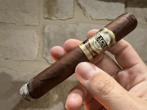 Casa Magna Colorado Robusto held in hand against a stone wall, medium-dark brown wrapper with prominent veins, gold, black and red Casa Magna Colorado band, about a quarter inch burned